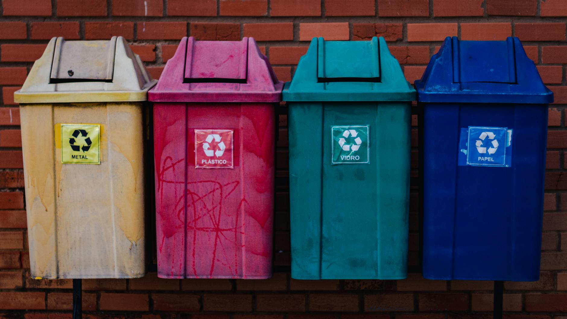First-Year Composting: 10 Common Mistakes and the Lessons That Fix Them