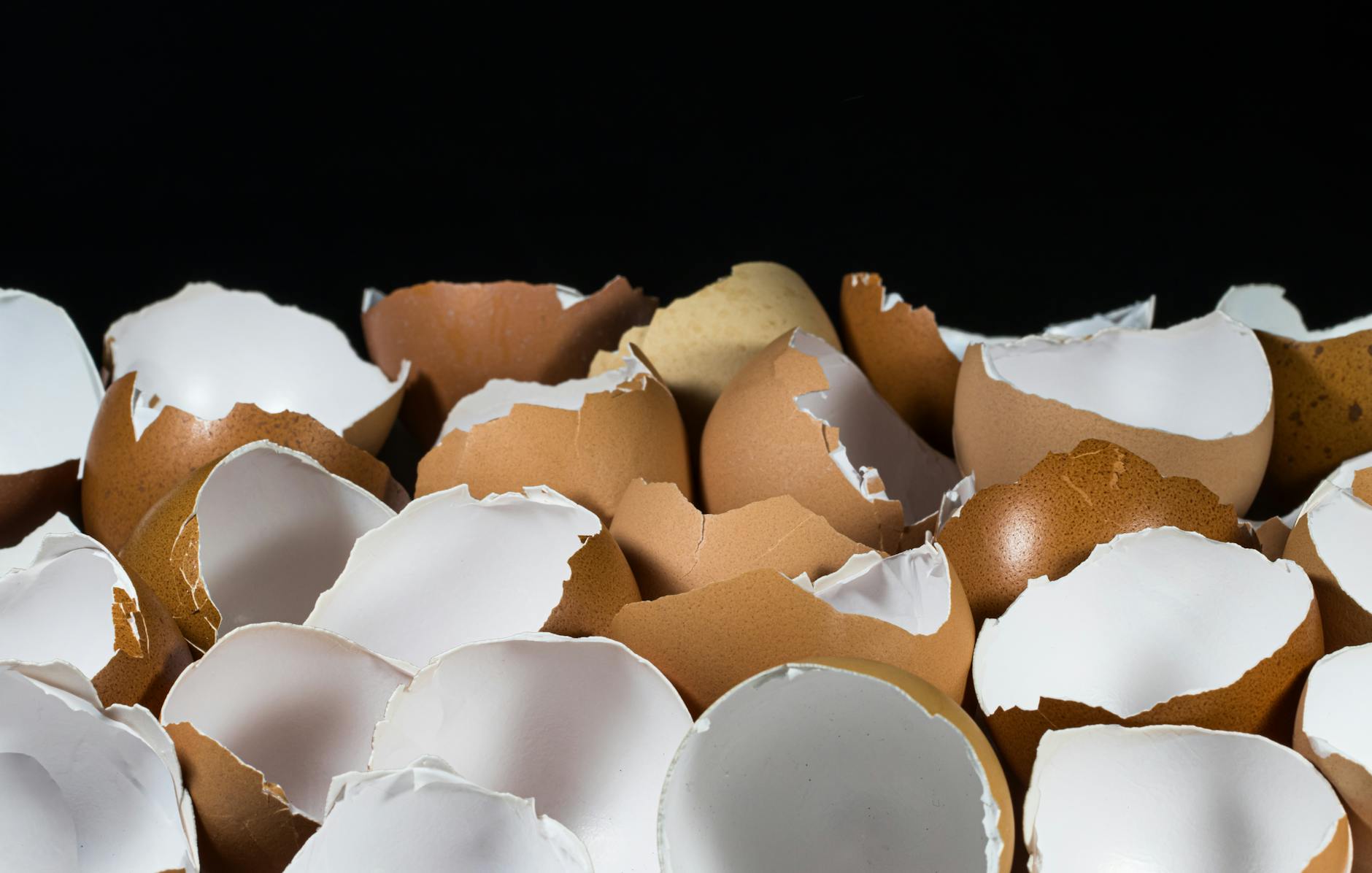 Can I Compost Eggshells? (Complete Guide)