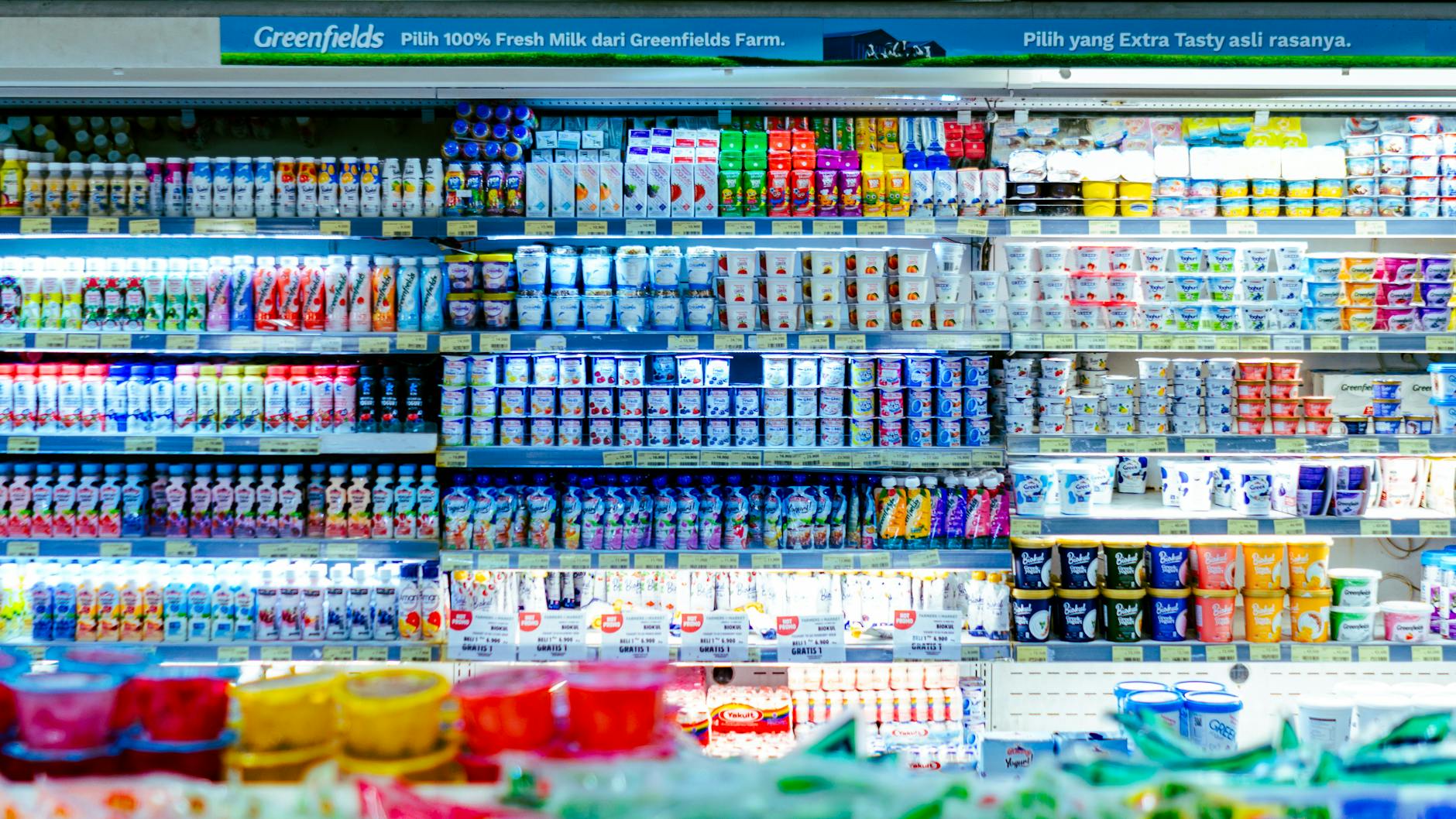 Can I Compost Dairy Products? (Cheese, Yogurt, Milk)