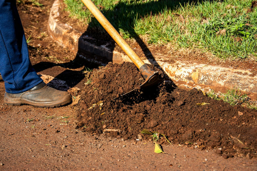Why Fall Compost Application Produces Better Spring Gardens: The Science and Practice of Autumn Soil Amendment