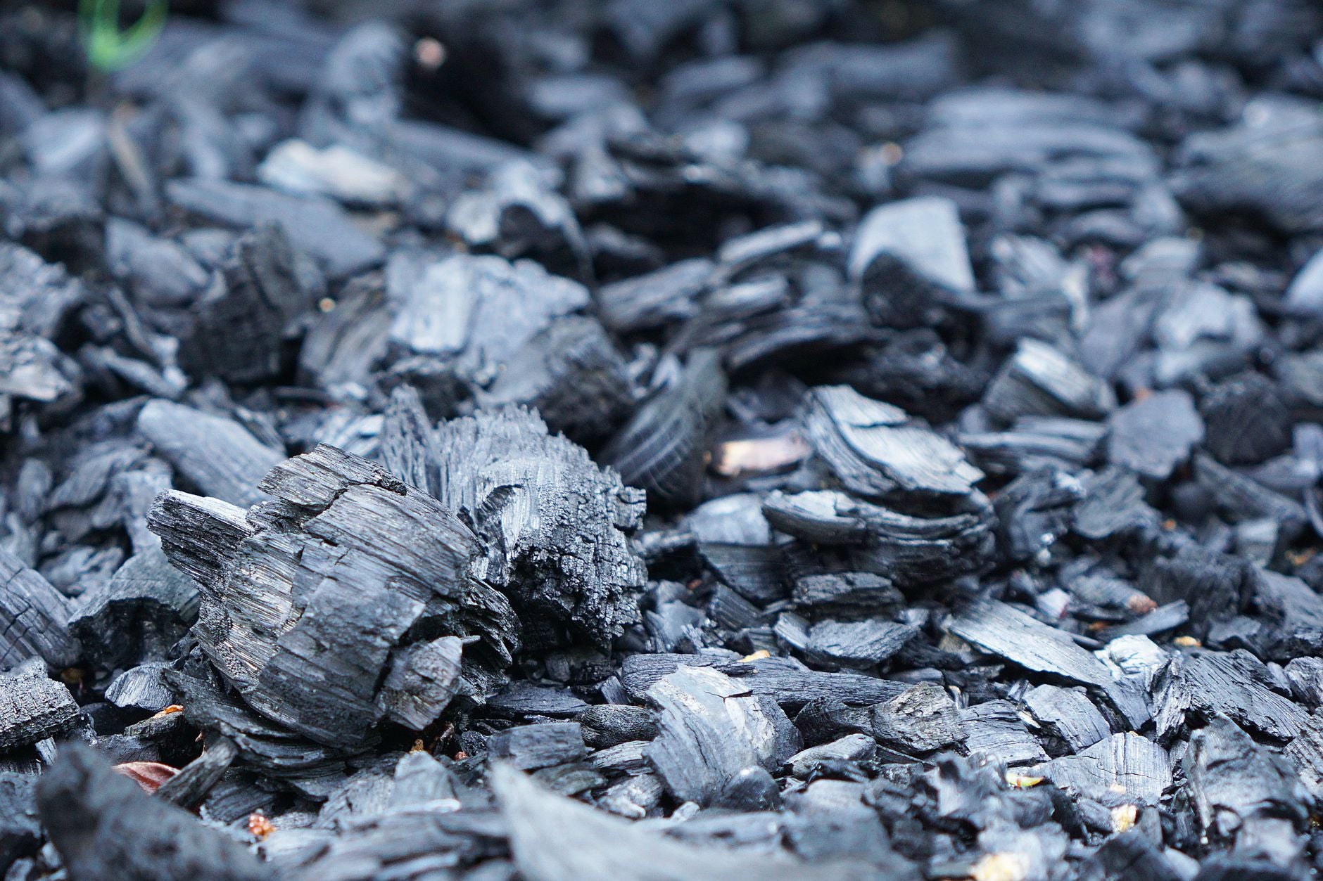 Biochar vs. Compost: Which Soil Amendment Is Better?
