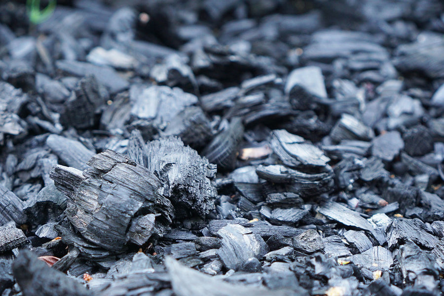 Biochar vs. Compost: Which Soil Amendment Is Better?