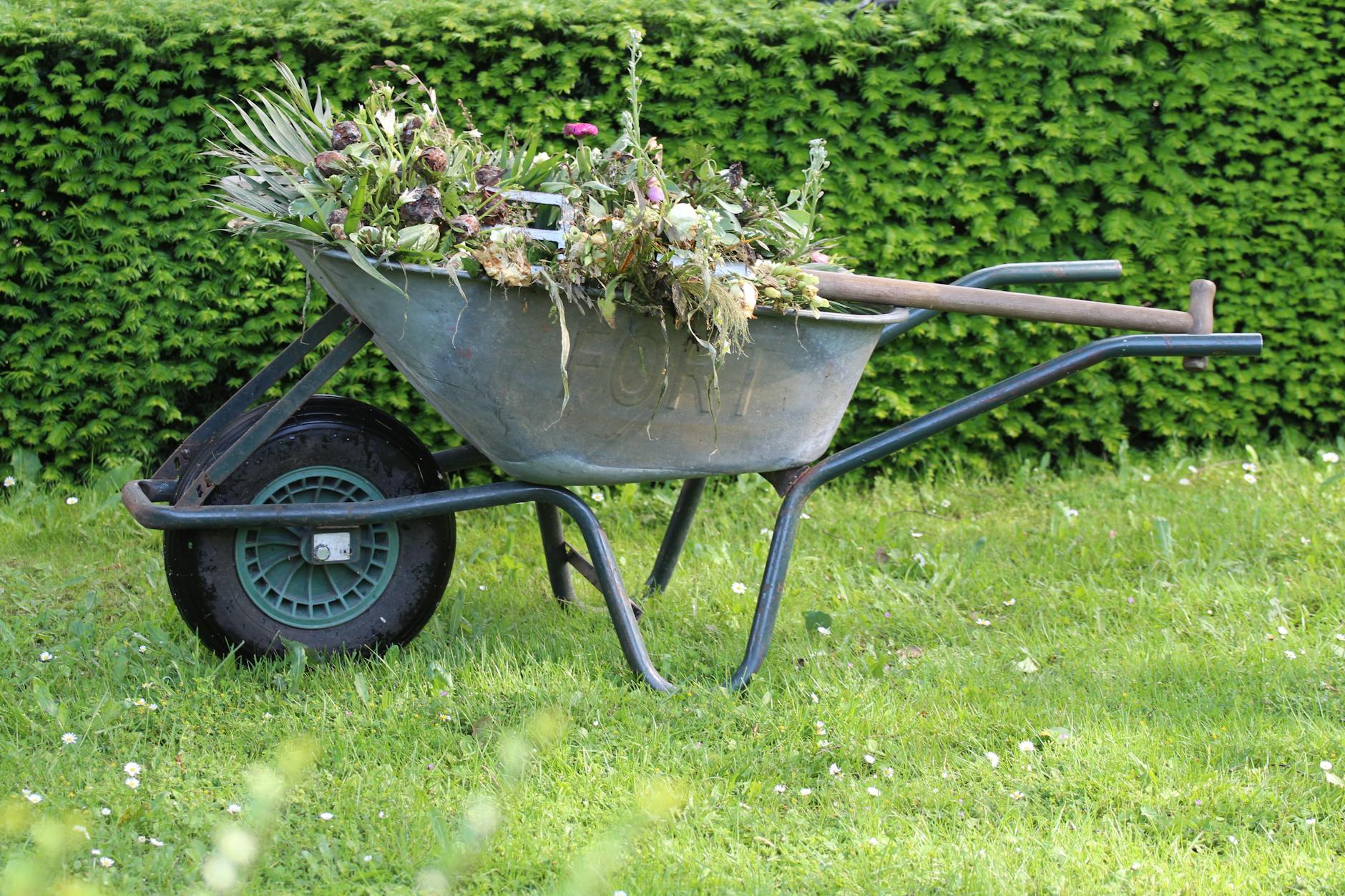 How to Sift Compost: Step-by-Step Guide to Screening Your Harvest