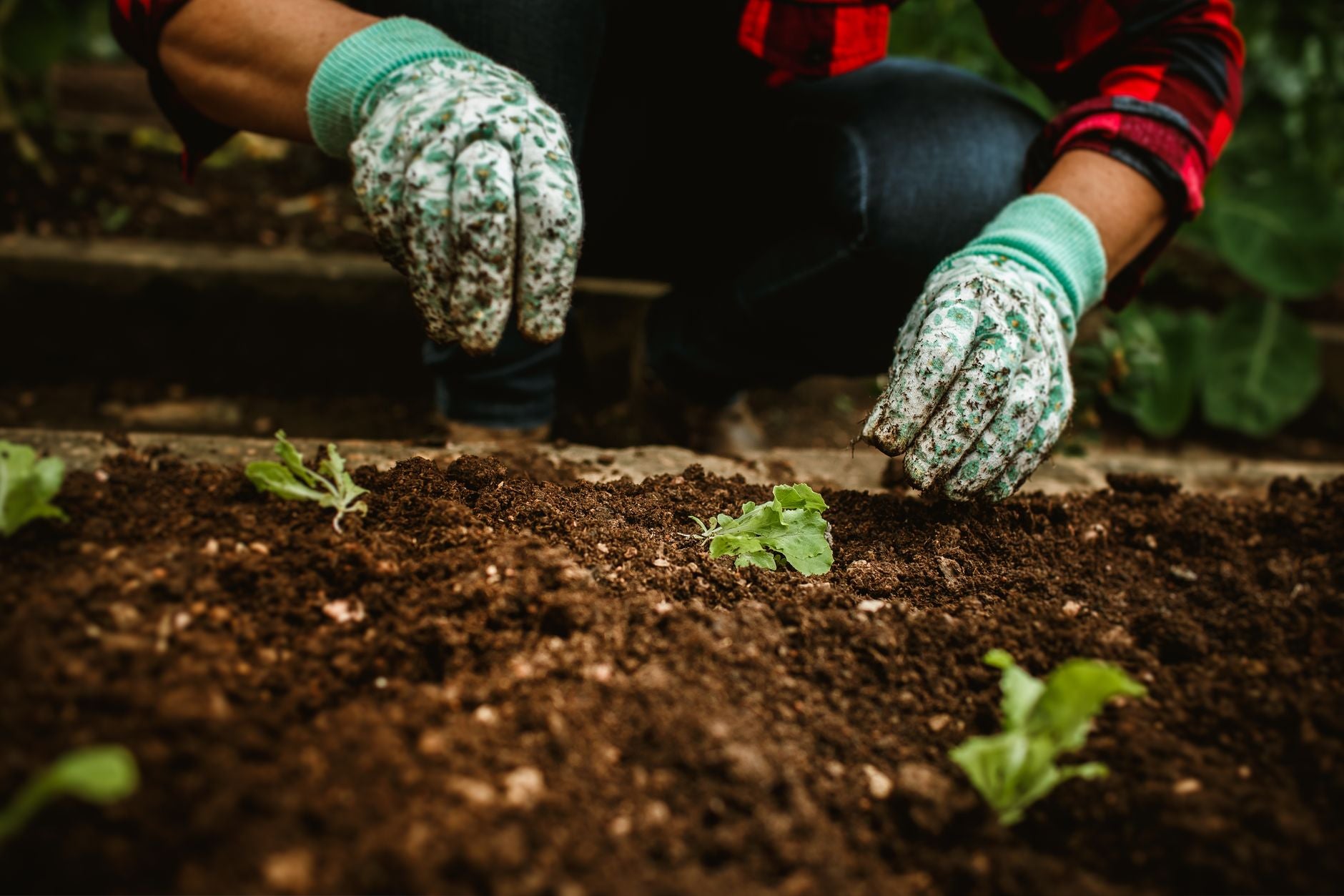 How Compost Improves Soil (The Science Behind It)