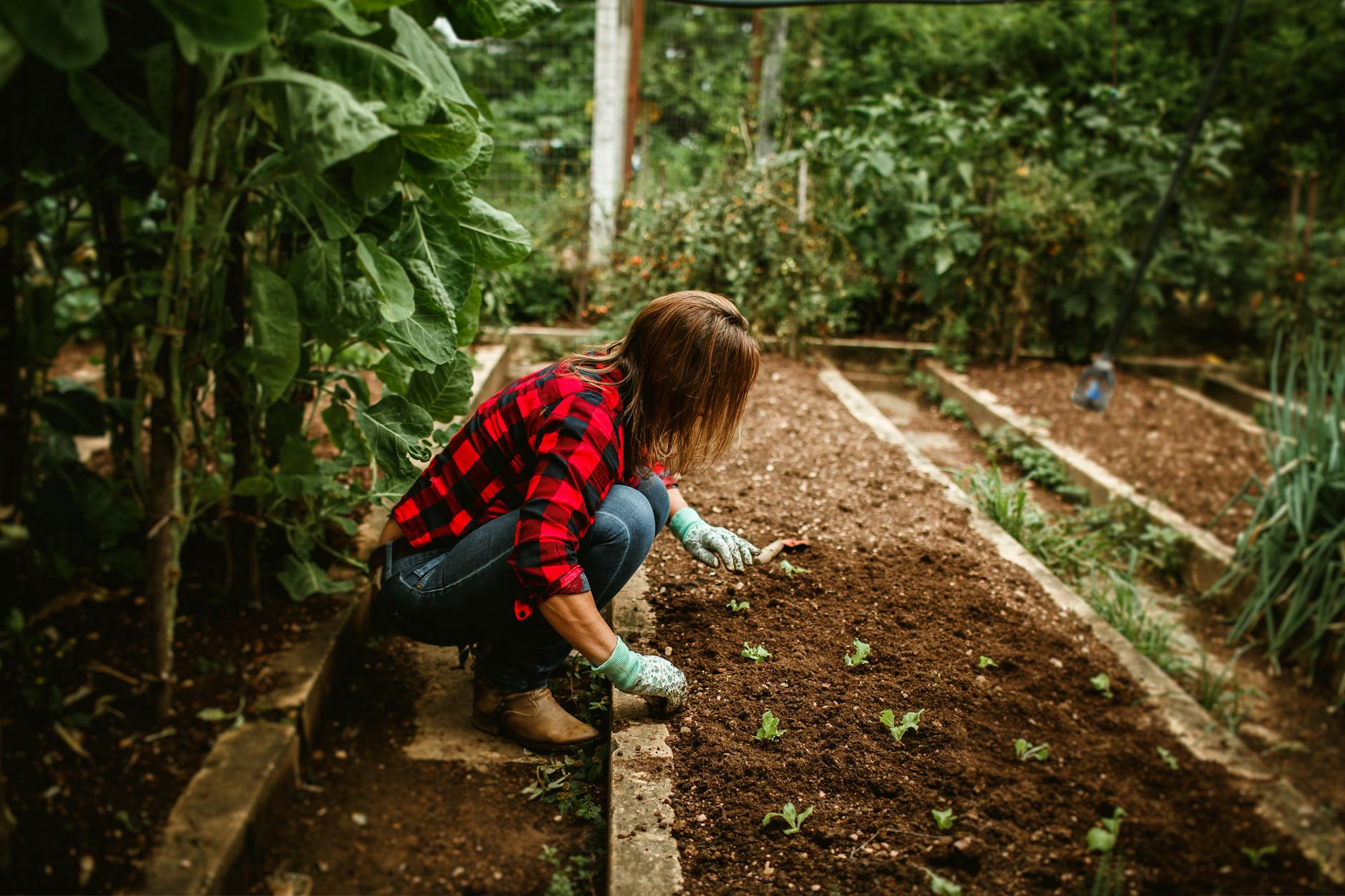 What Should You Never Put in a Compost Bin? A Complete List of What to Avoid