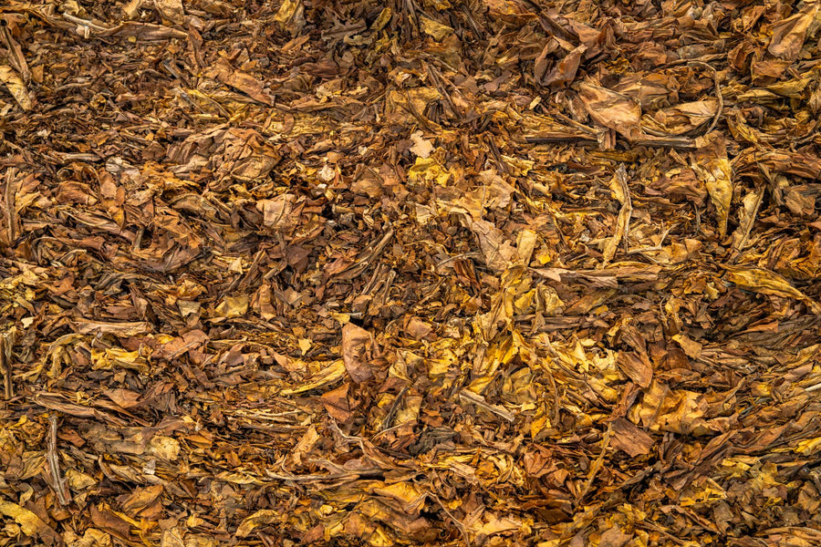 What Happens to Food in a Compost Pile? (Week by Week)