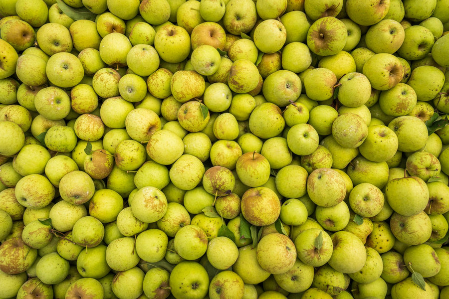 How Long Do Apples Last in the Fridge? (Whole, Cut & Storage Tips)