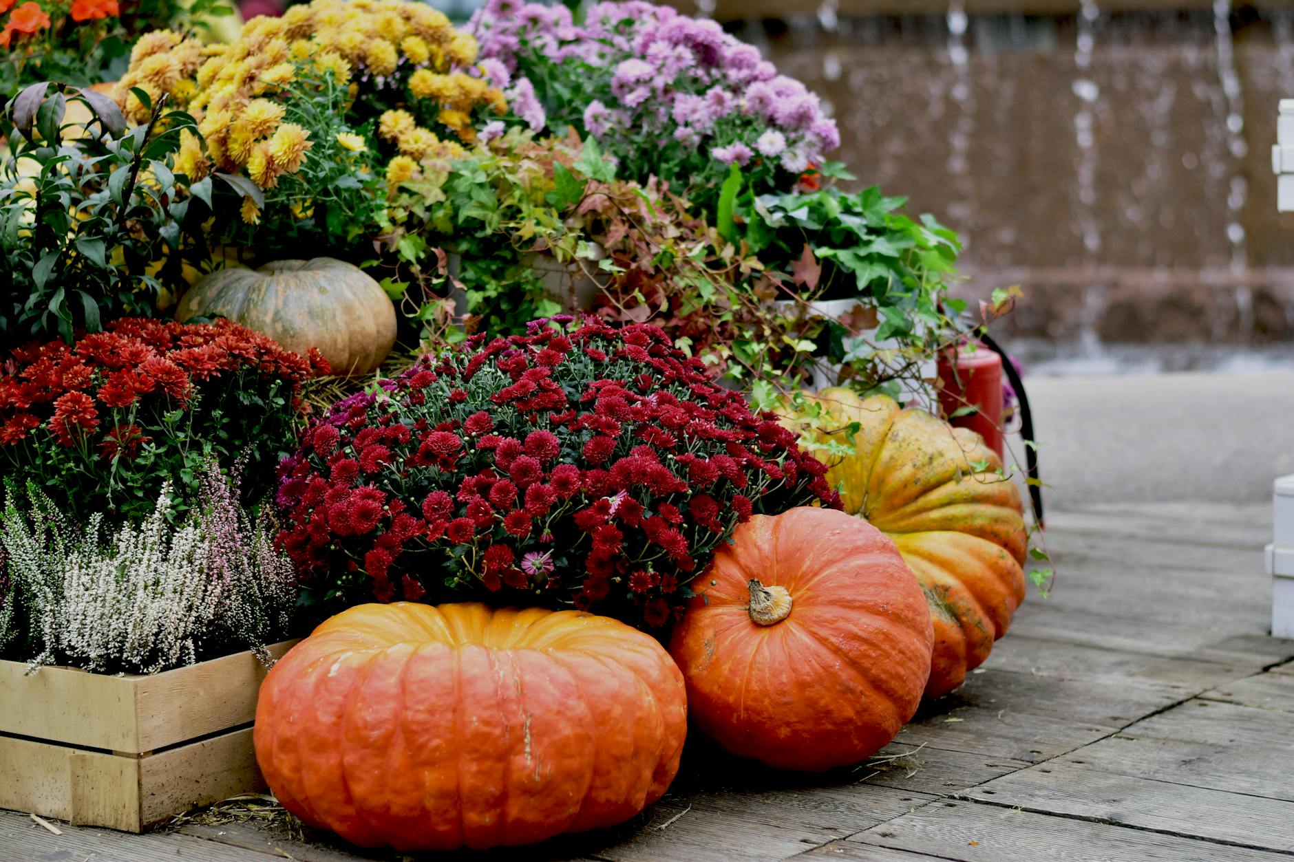 September Garden Checklist: Your Complete Fall Gardening Calendar