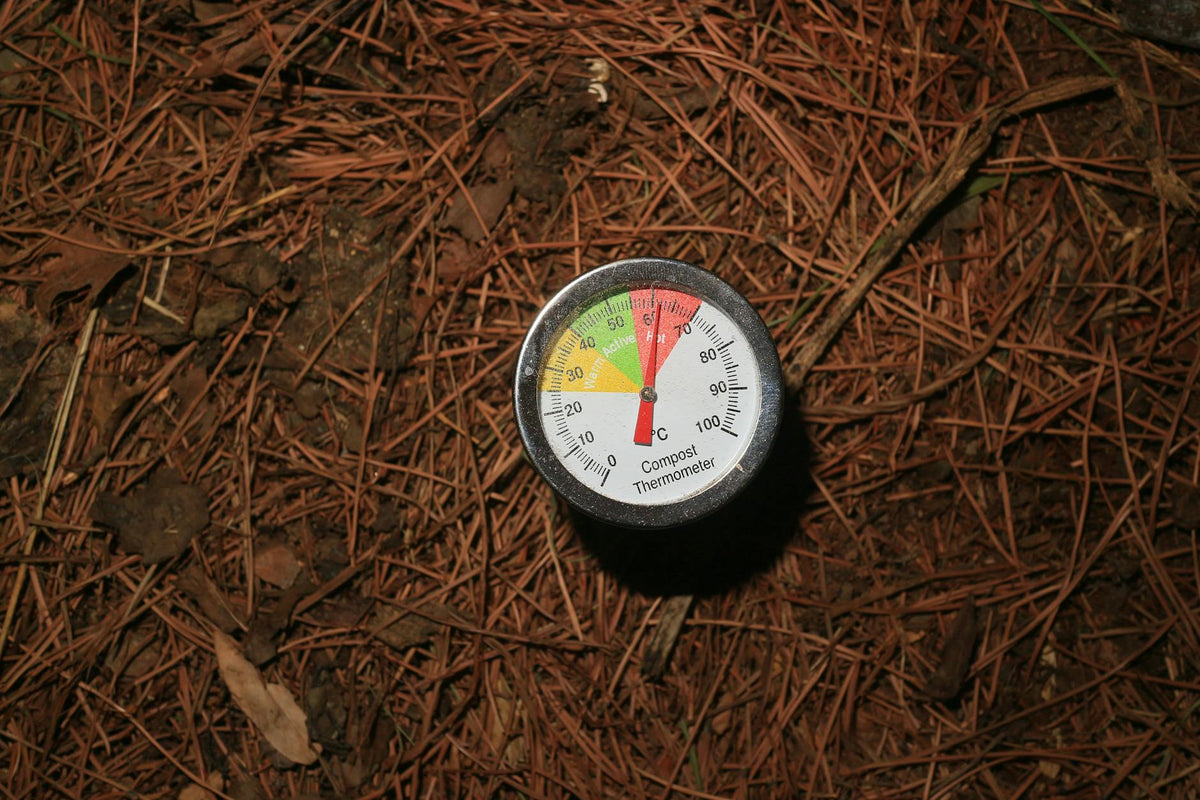 Why Temperature Matters in Composting — And What the Ideal R