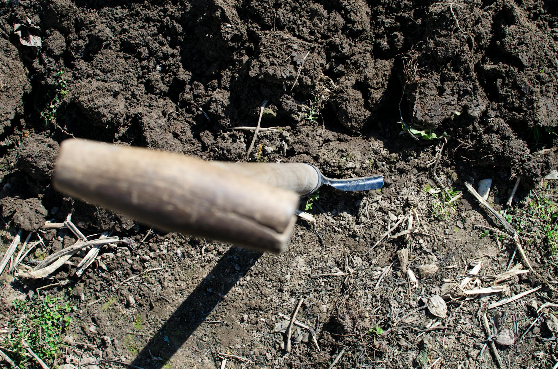 Homi vs. Trowel and Hoe: Which Garden Tool Is Actually Worth It?