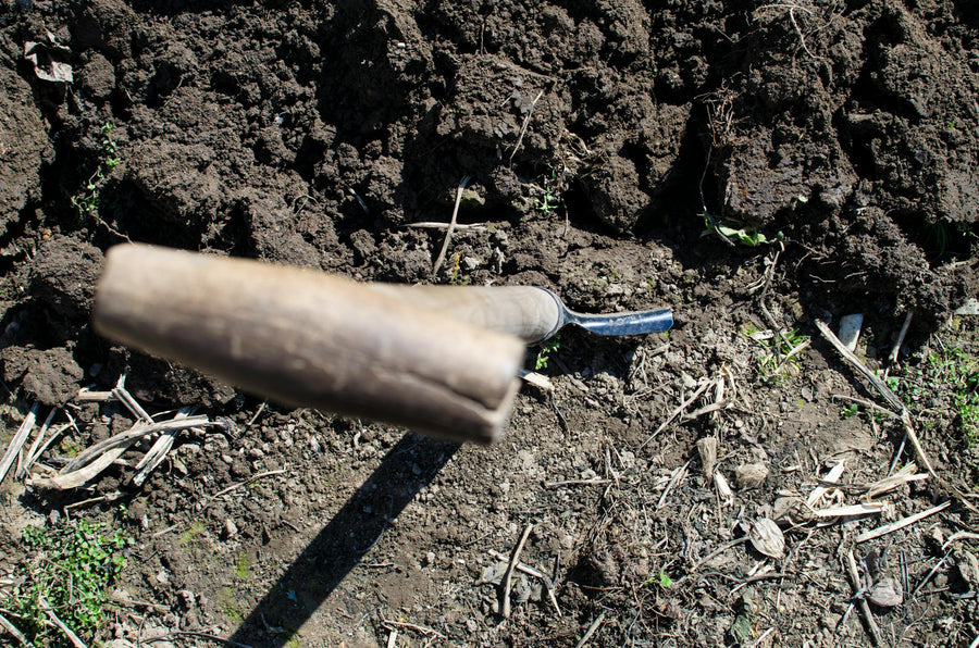 Homi vs. Trowel and Hoe: Which Garden Tool Is Actually Worth It?