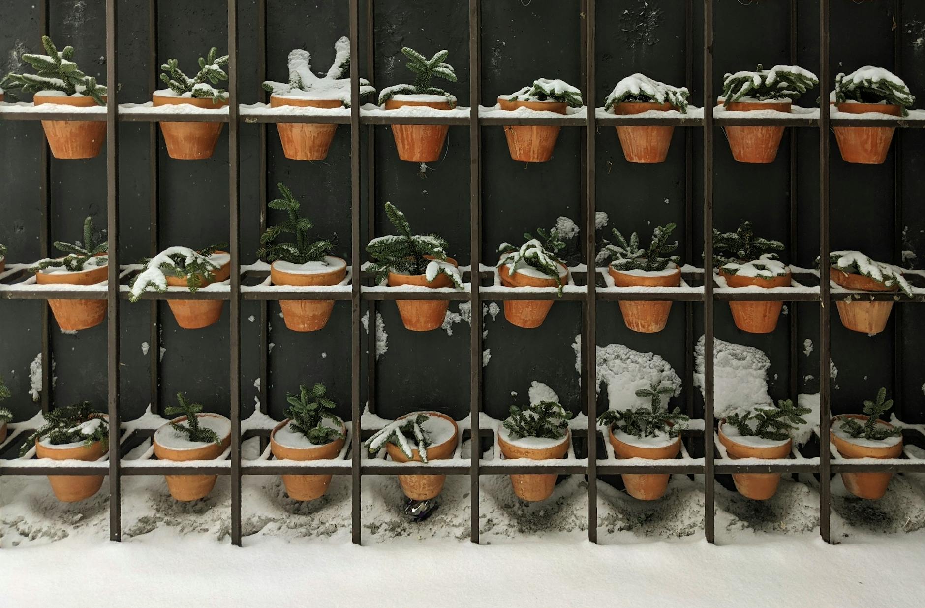 Zone 5b Winter Gardening Guide