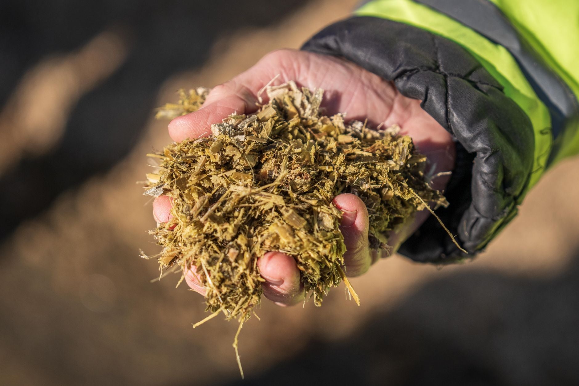Hot Composting: How to Reach 140°F and Why It Matters