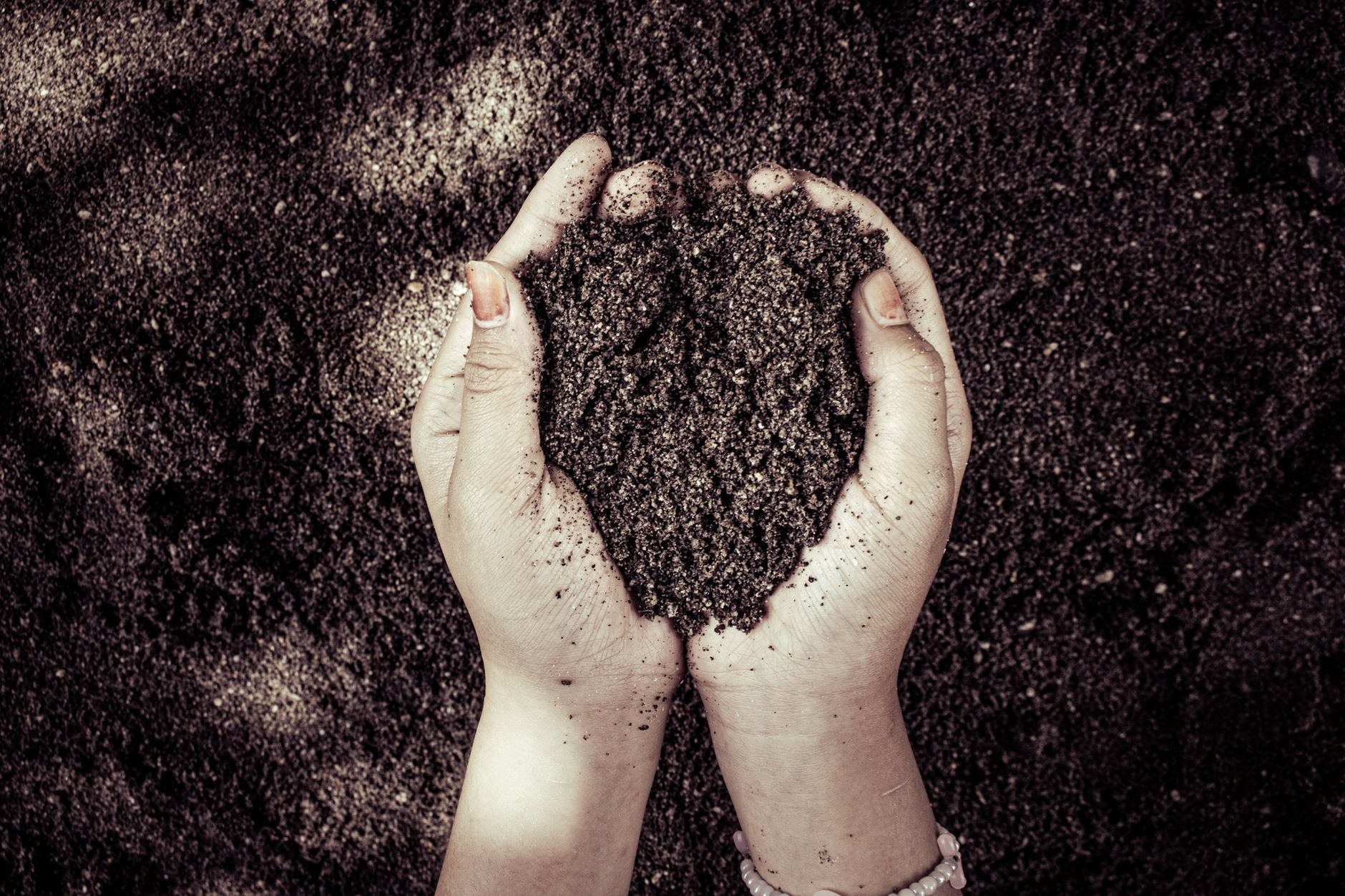 How Long Does Reencle Take to Make Compost?