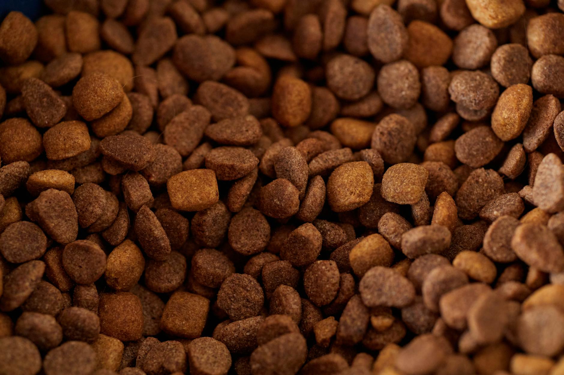 Can I Compost Pet Food (Dog Food and Cat Food)?