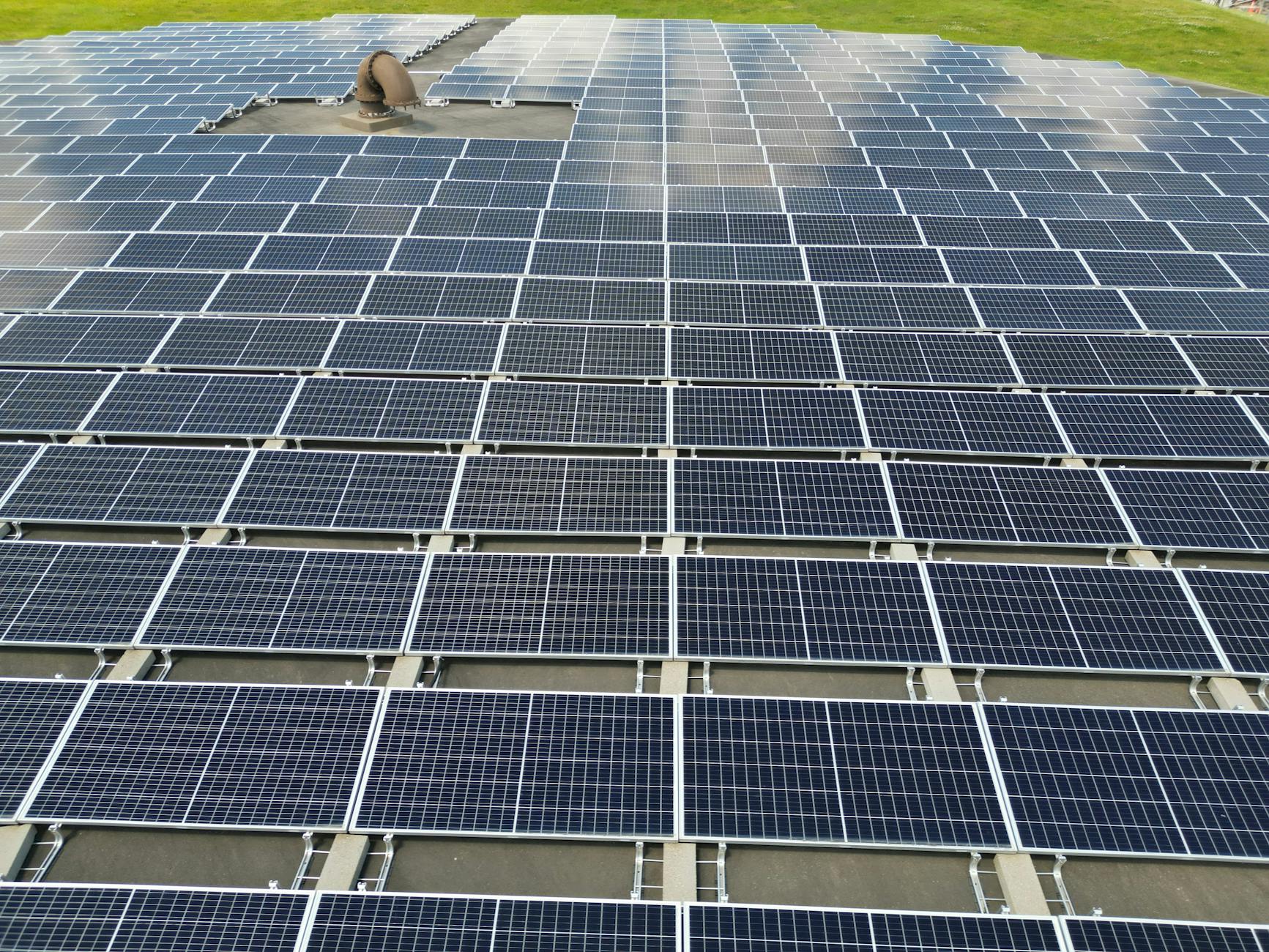 Reencle Sustainability Report: Up to 81% Lower Food Waste Emissions