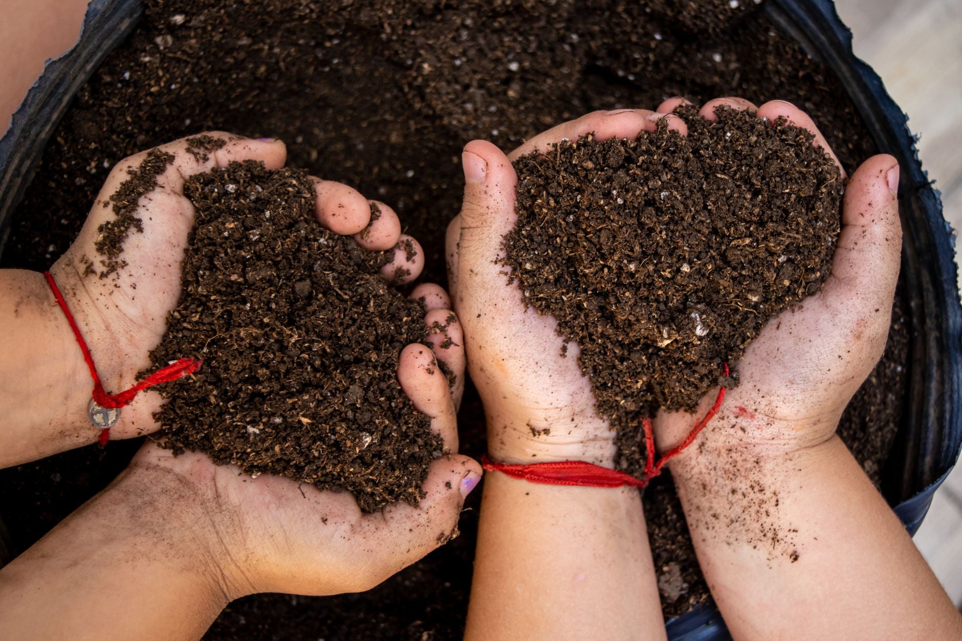 Is Reencle a True Composter? Here's the Microbiology (Not Marketing)