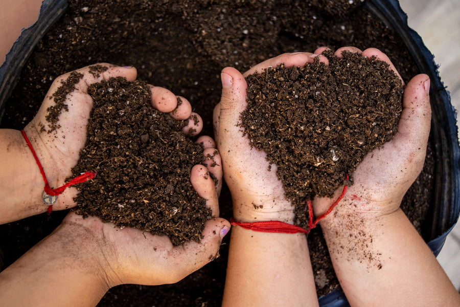 Is Reencle a True Composter? Here's the Microbiology (Not Marketing)