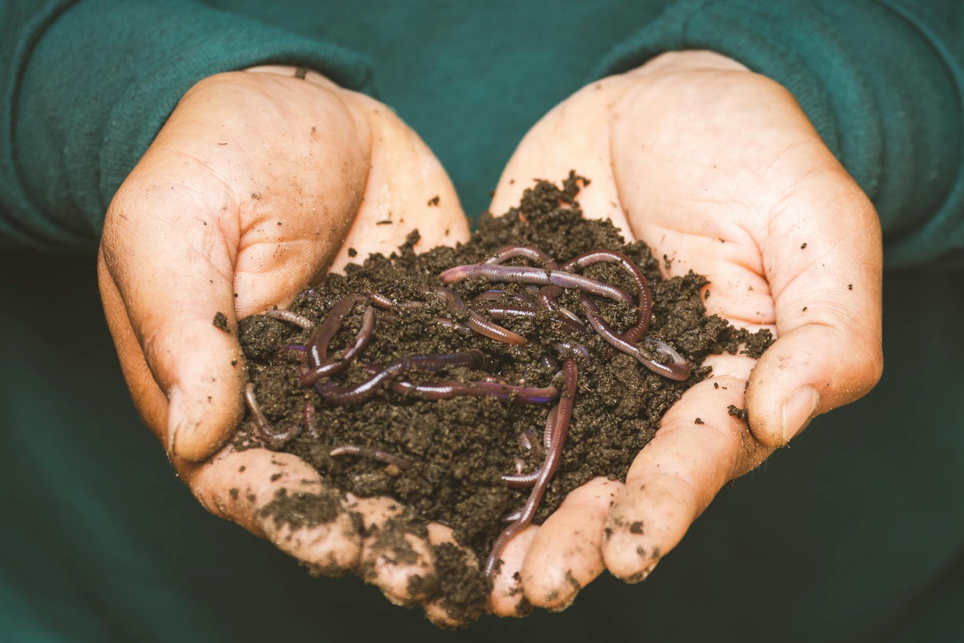 What Are the Different Ways to Compost at Home, and Which Is Right for Me?