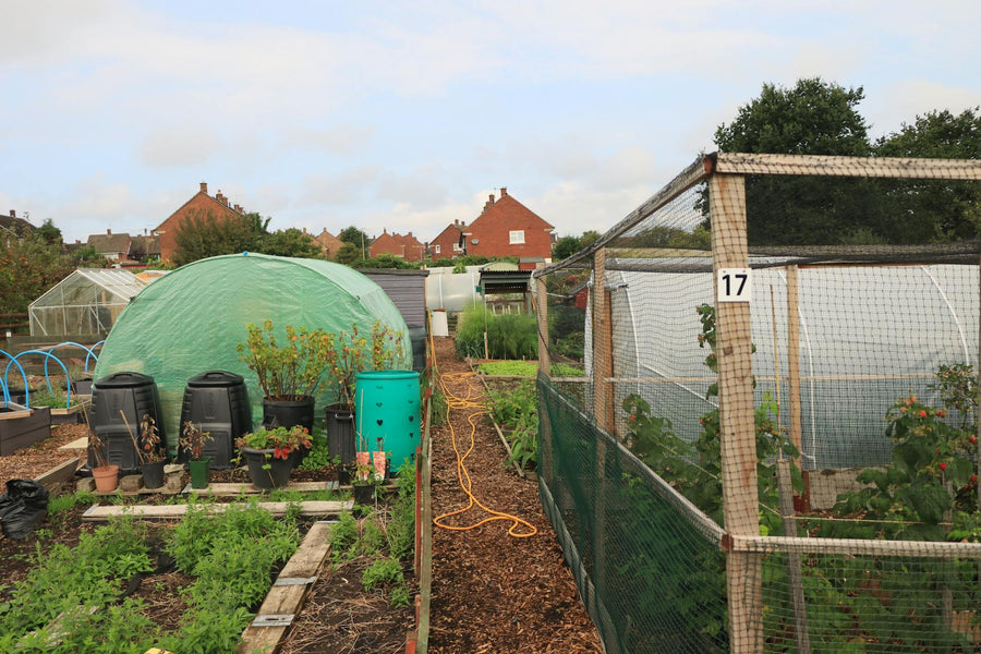 How to Keep Your Compost from Drying Out in Summer