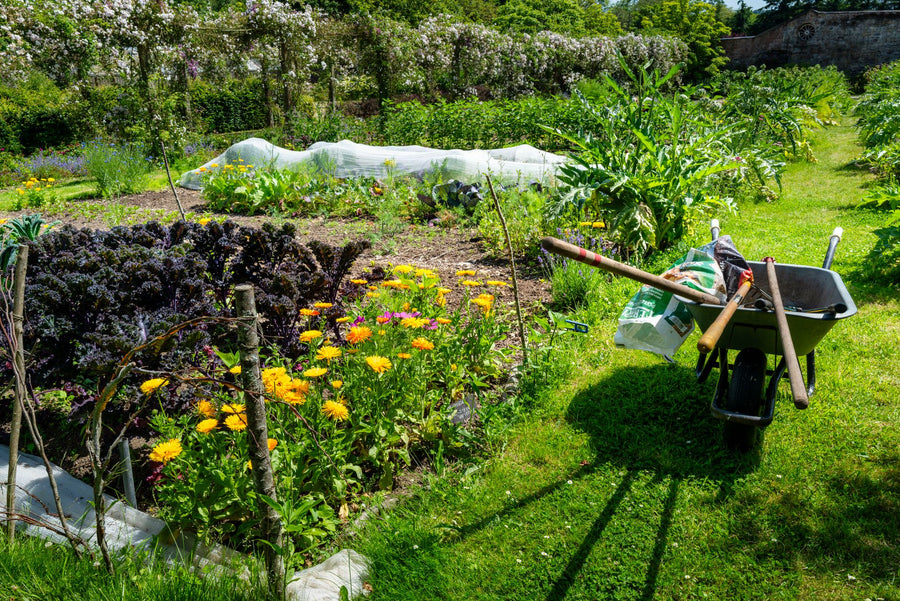 How to Choose the Right Composter for Your Home