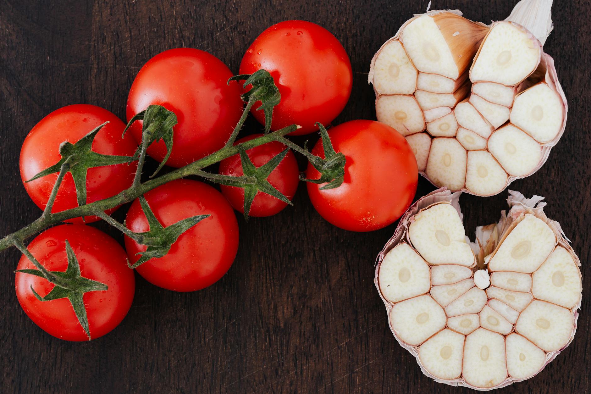 Tomato Late Blight vs. Anthracnose: Identification and Organic Control