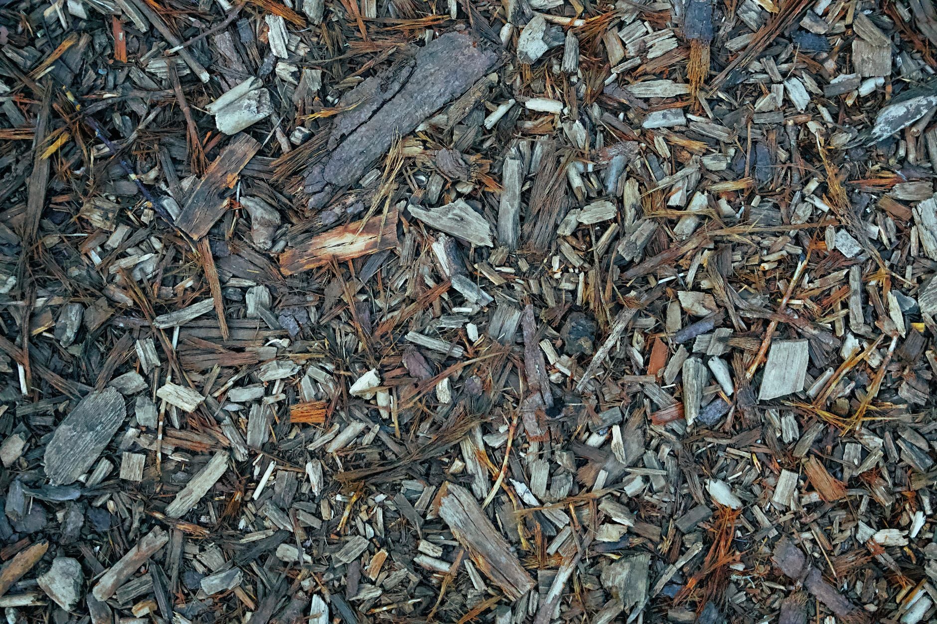 Sheet Mulching (Lasagna Gardening)