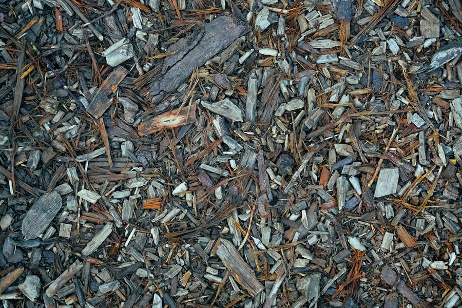 Sheet Mulching (Lasagna Gardening)