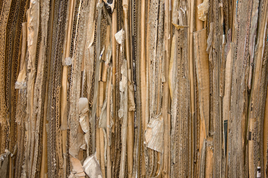 Can You Compost Cardboard Boxes? (Which Types Work)