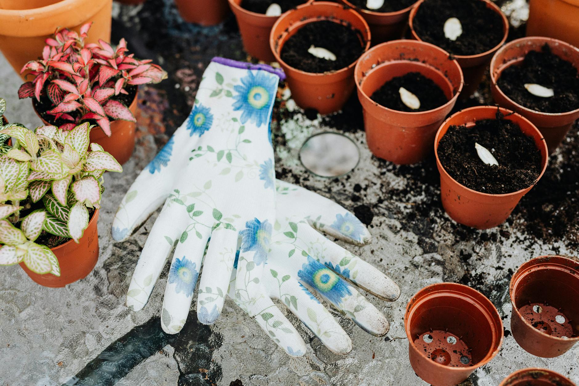 How to Use Compost in Container Gardens and Pots
