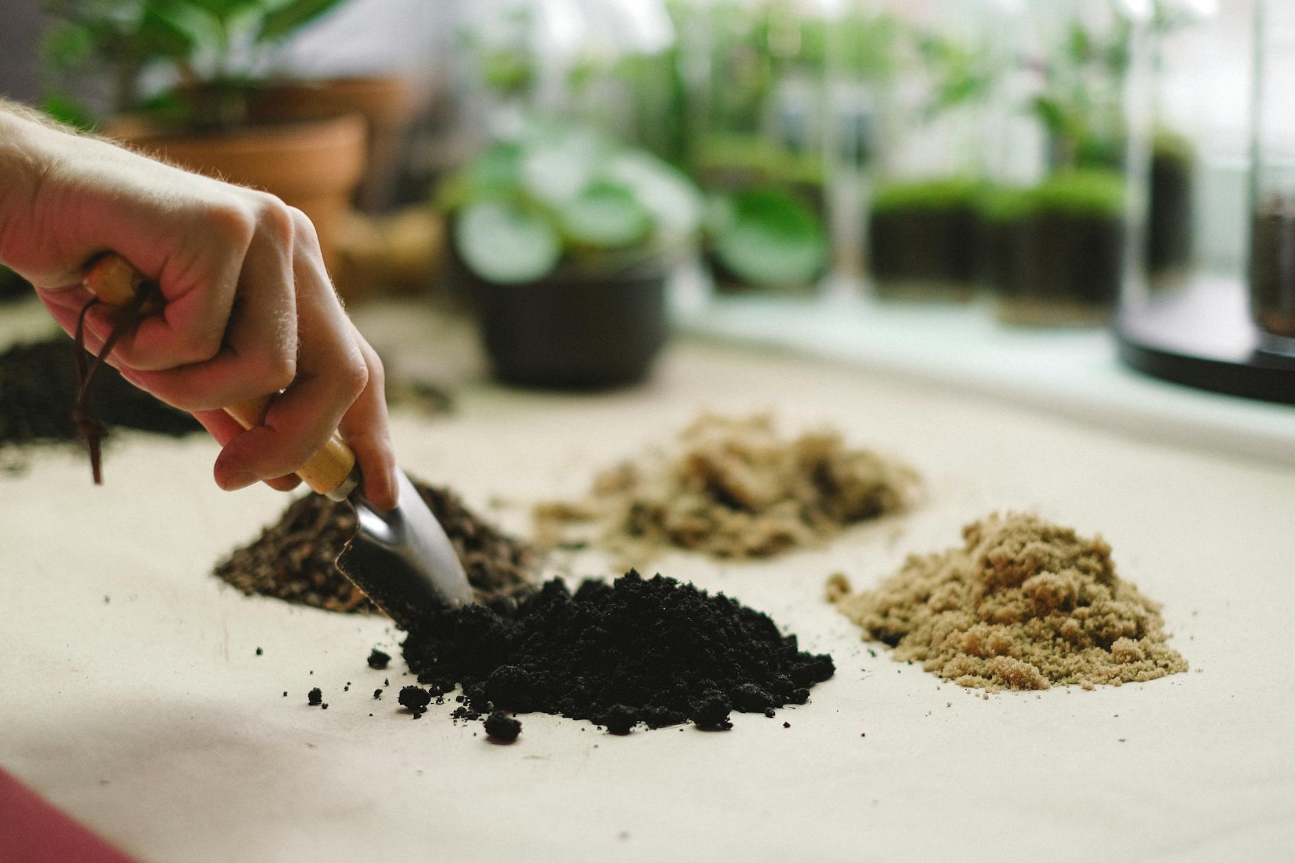 Tea Seed Meal manufacturer Tea Seed Meal manufacturer