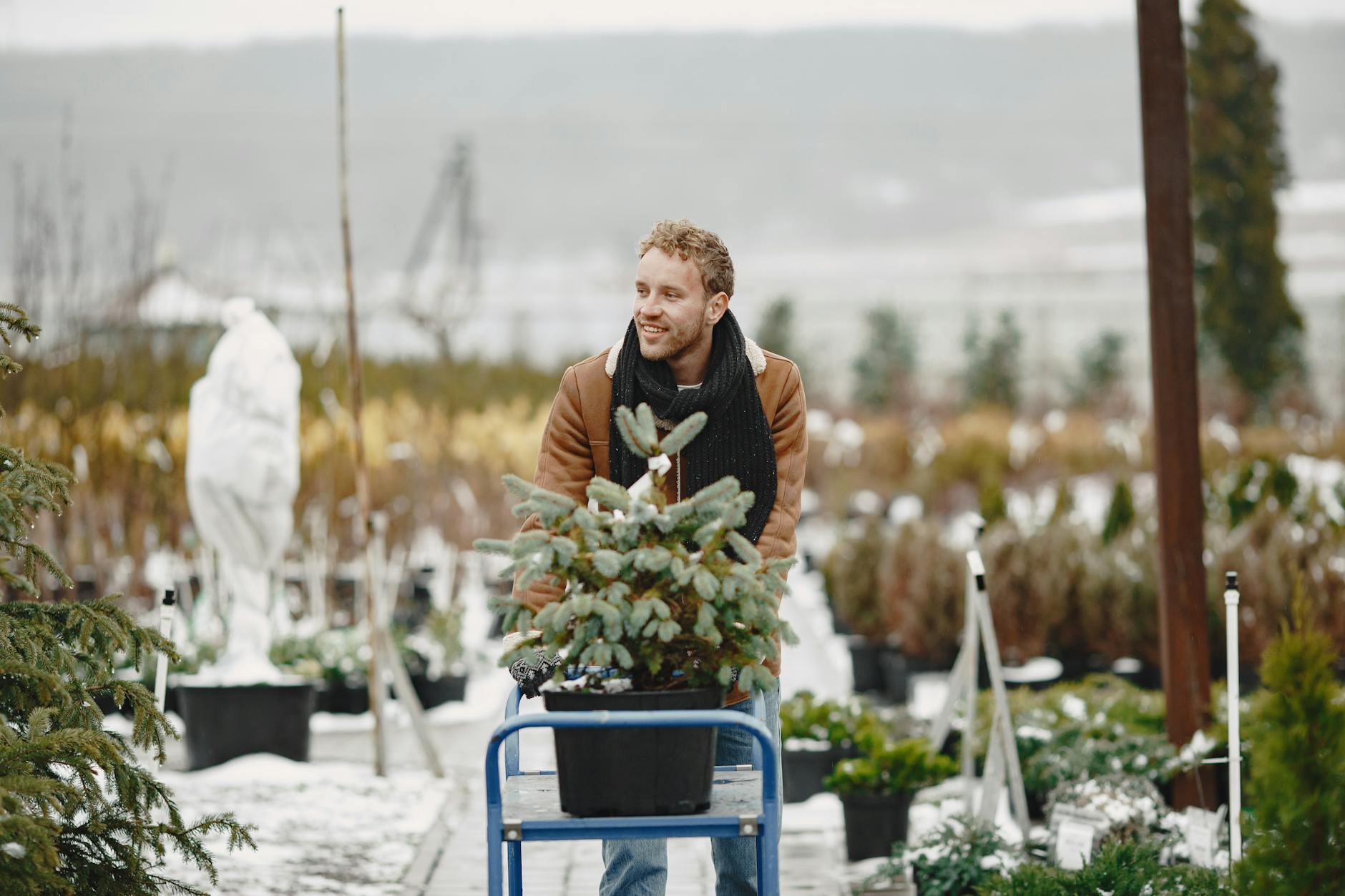 Zone 6b Winter Gardening Guide