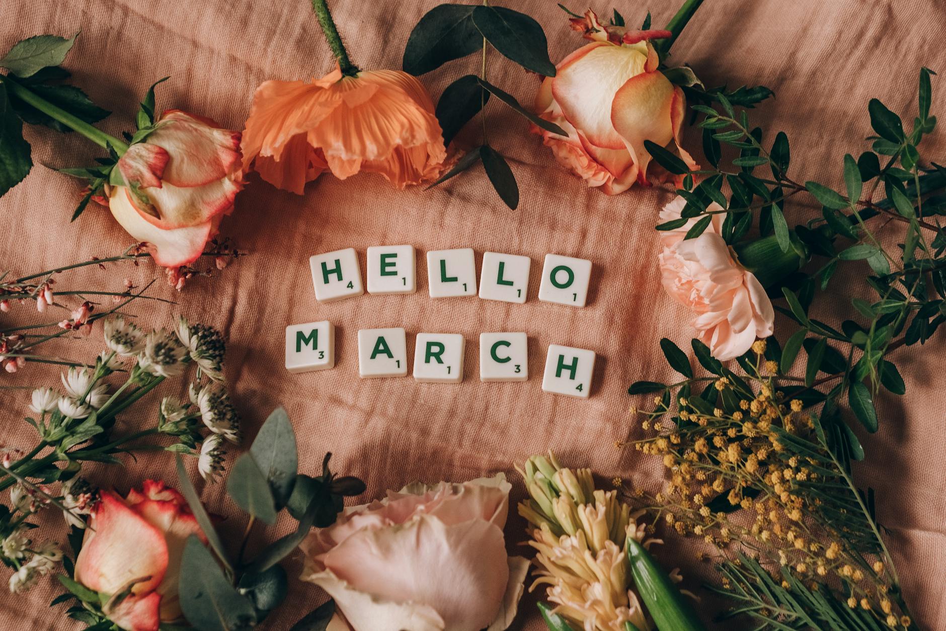 Zone 6b Spring Planting Guide: Month-by-Month Calendar for March,