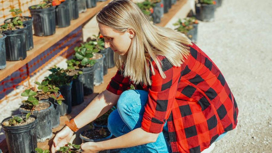 Top 20 Most Frequently Asked Questions for Beginner Composters: Complete Answers