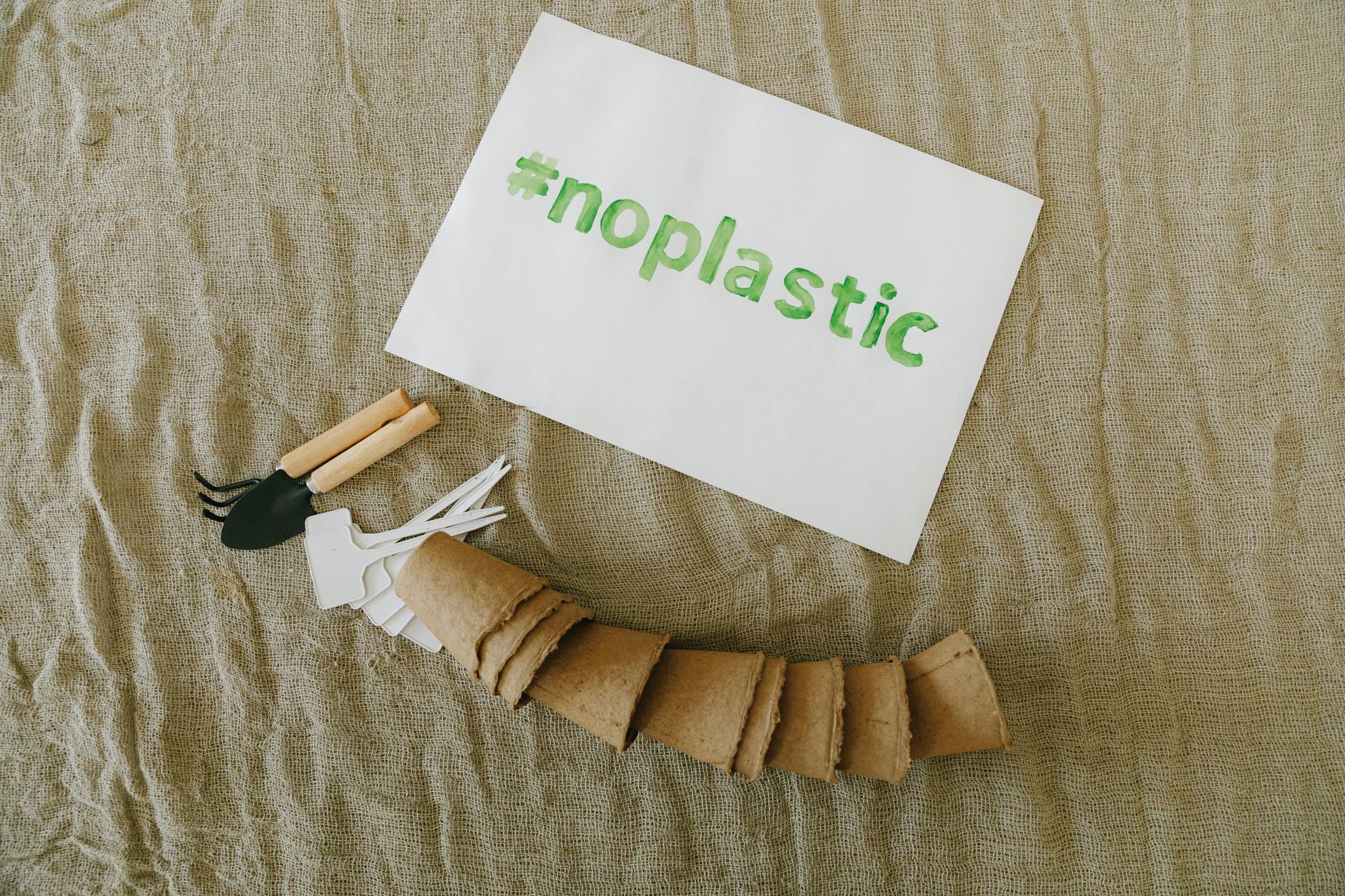 How to Start a Worm Bin at Home: Step-by-Step Setup Guide