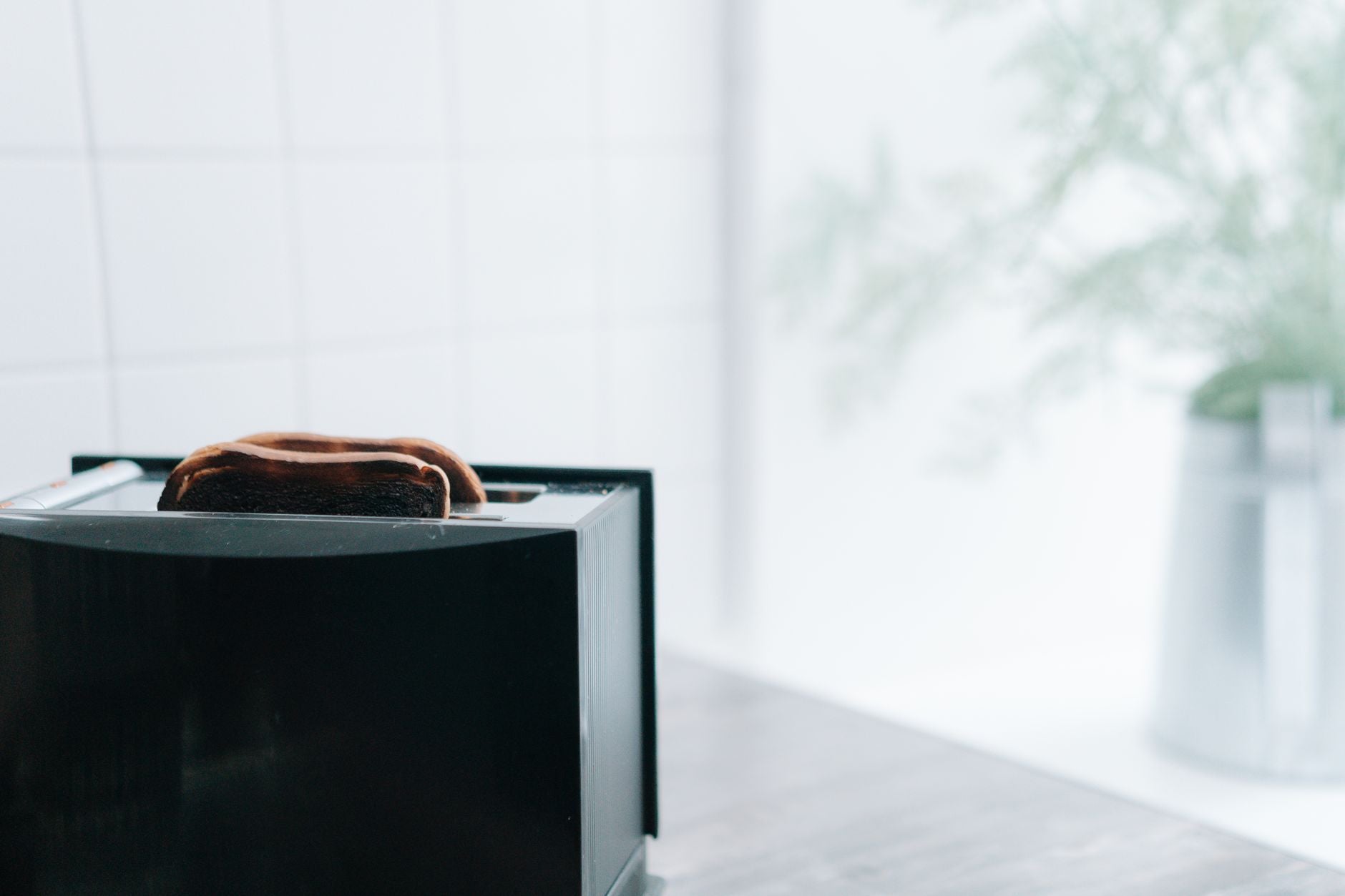 Best Electric Composter of 2026: Honest Comparison of Every Option