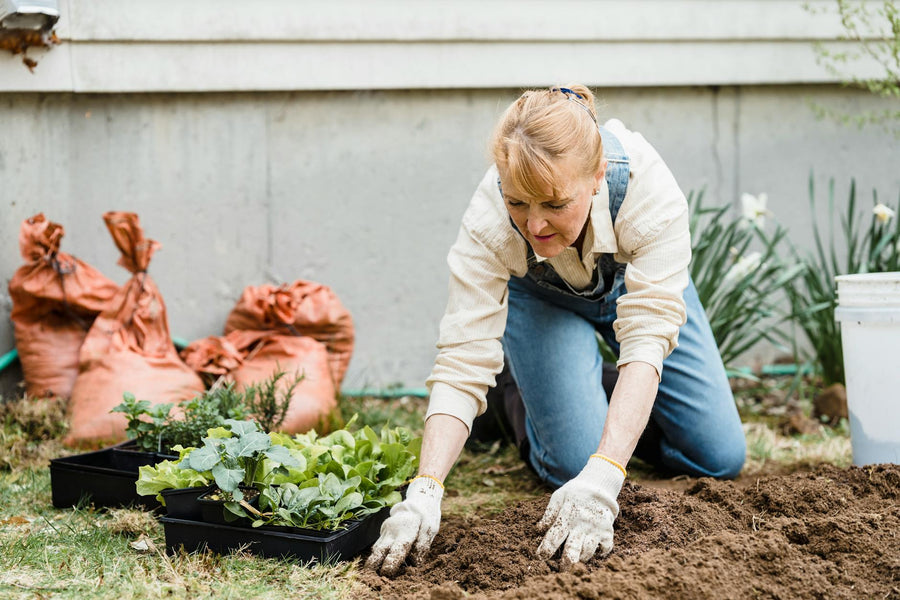 What Is a Compost Sifter? (And Why You Should Use One)