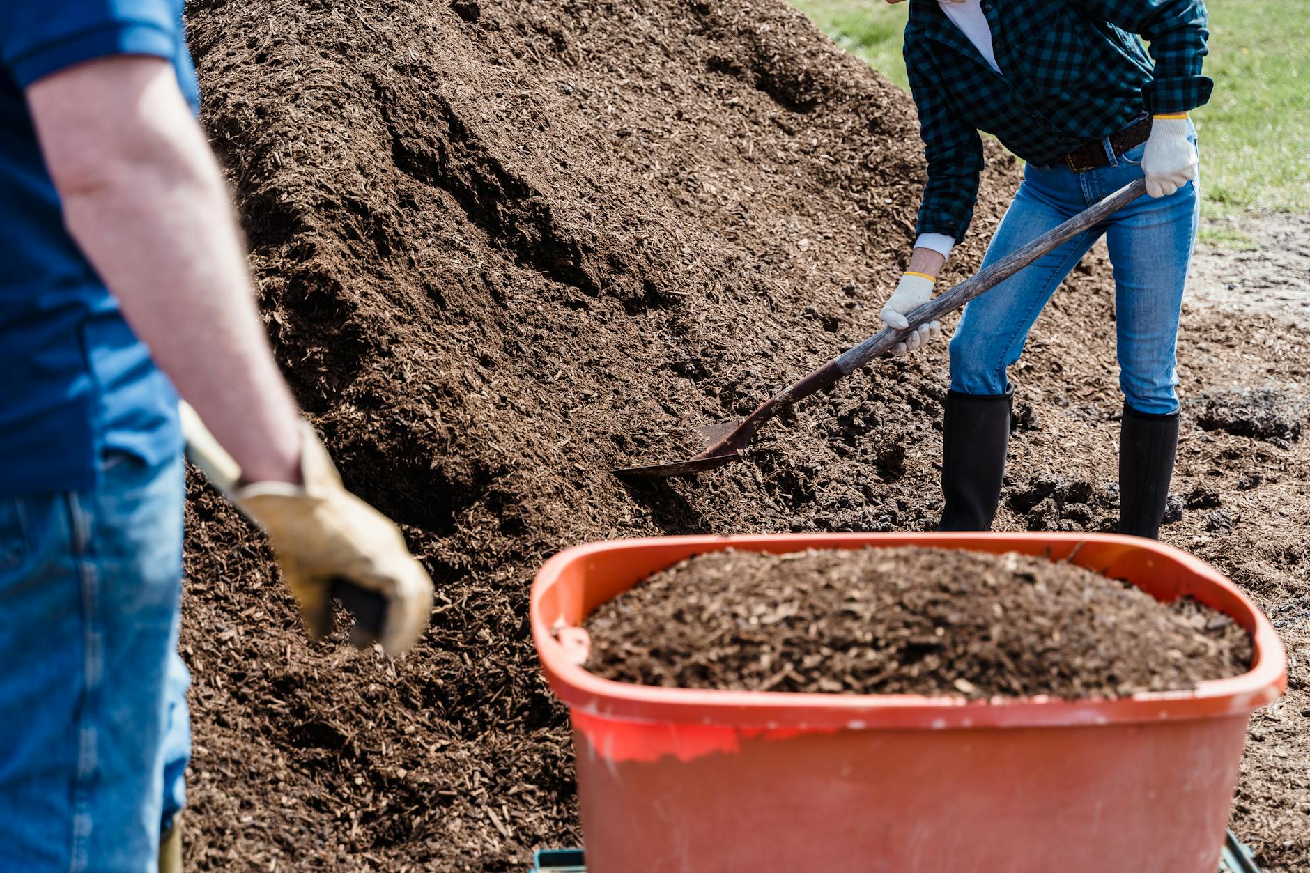 How Do I Know When My Compost Is Ready to Use? Signs of Finished Compost