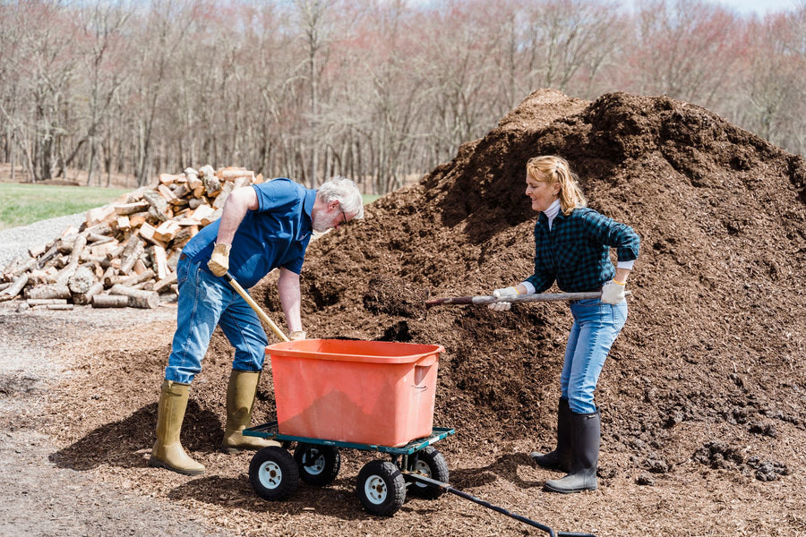 7 Composting Mistakes That Secretly Attract Pests