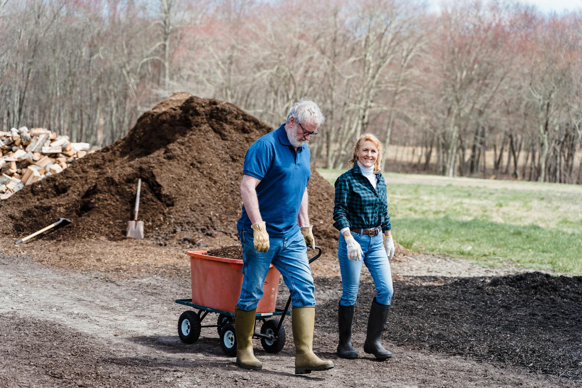 Best Electric Composter for a Family of 4 or More (2026)