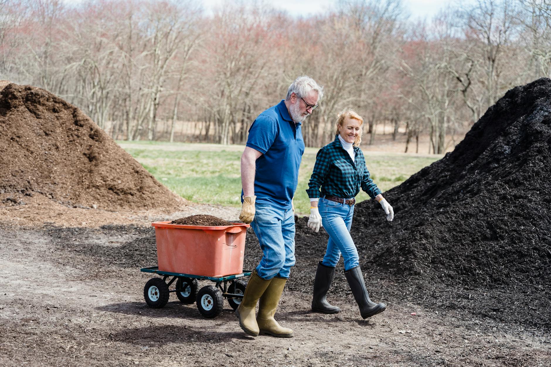 Electric Composter vs. Bokashi Bucket: Which Is Better?