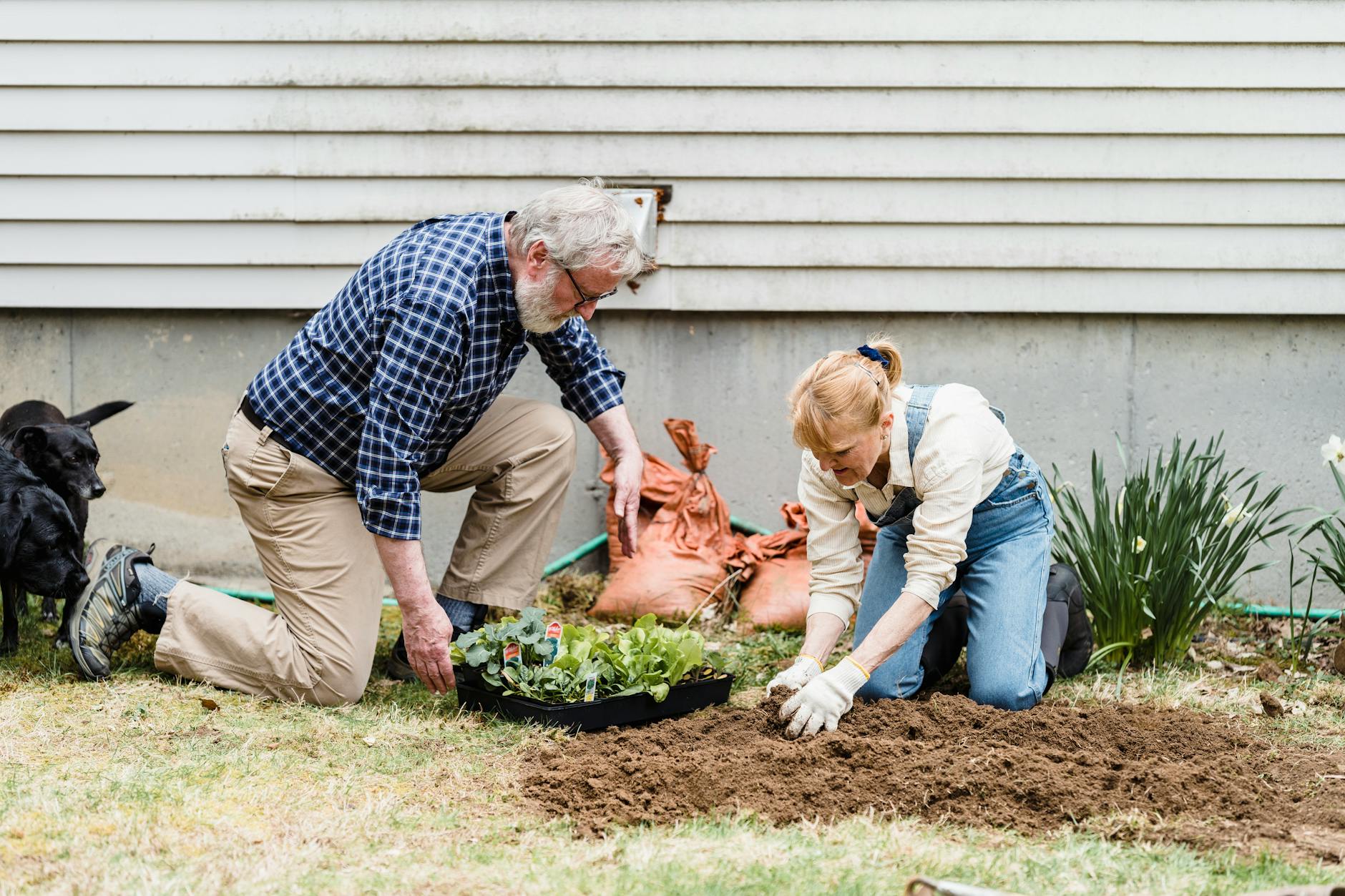 Best Compost Bin for the Backyard (2026)