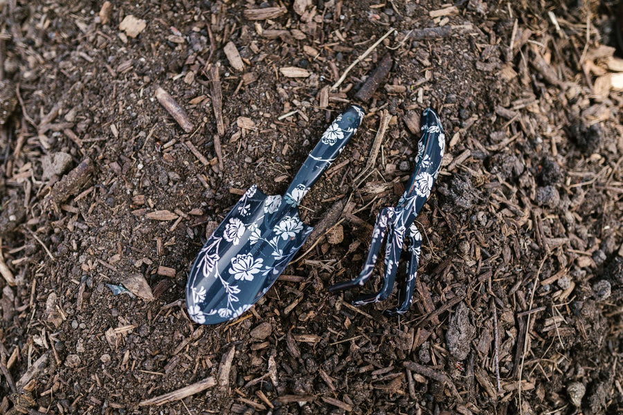 The Best Compost Sifter for Home Gardeners (What to Look For)