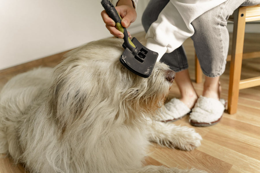 Can You Compost Pet Hair or Fur?