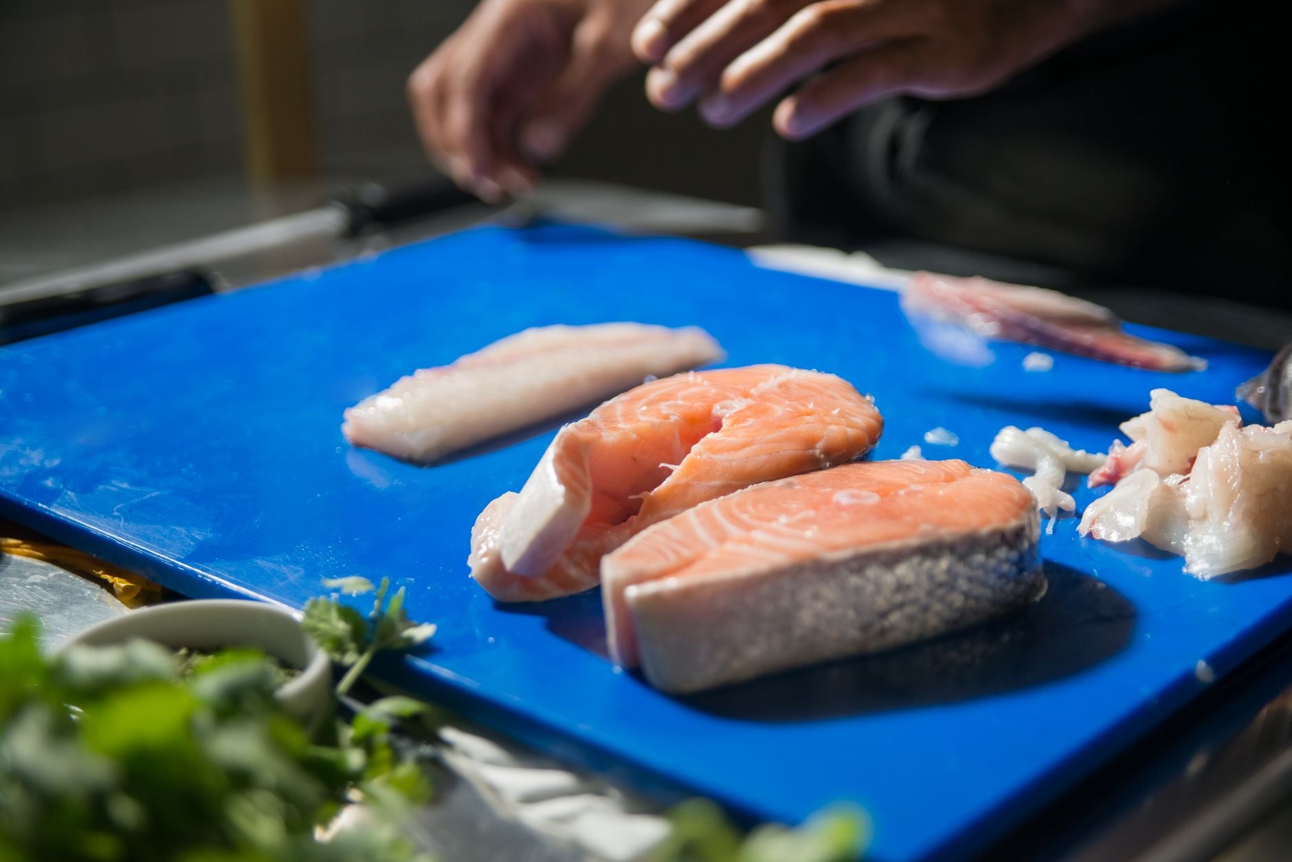 Can Reencle Compost Meat, Fish, and Dairy? (Yes — Here's Why)