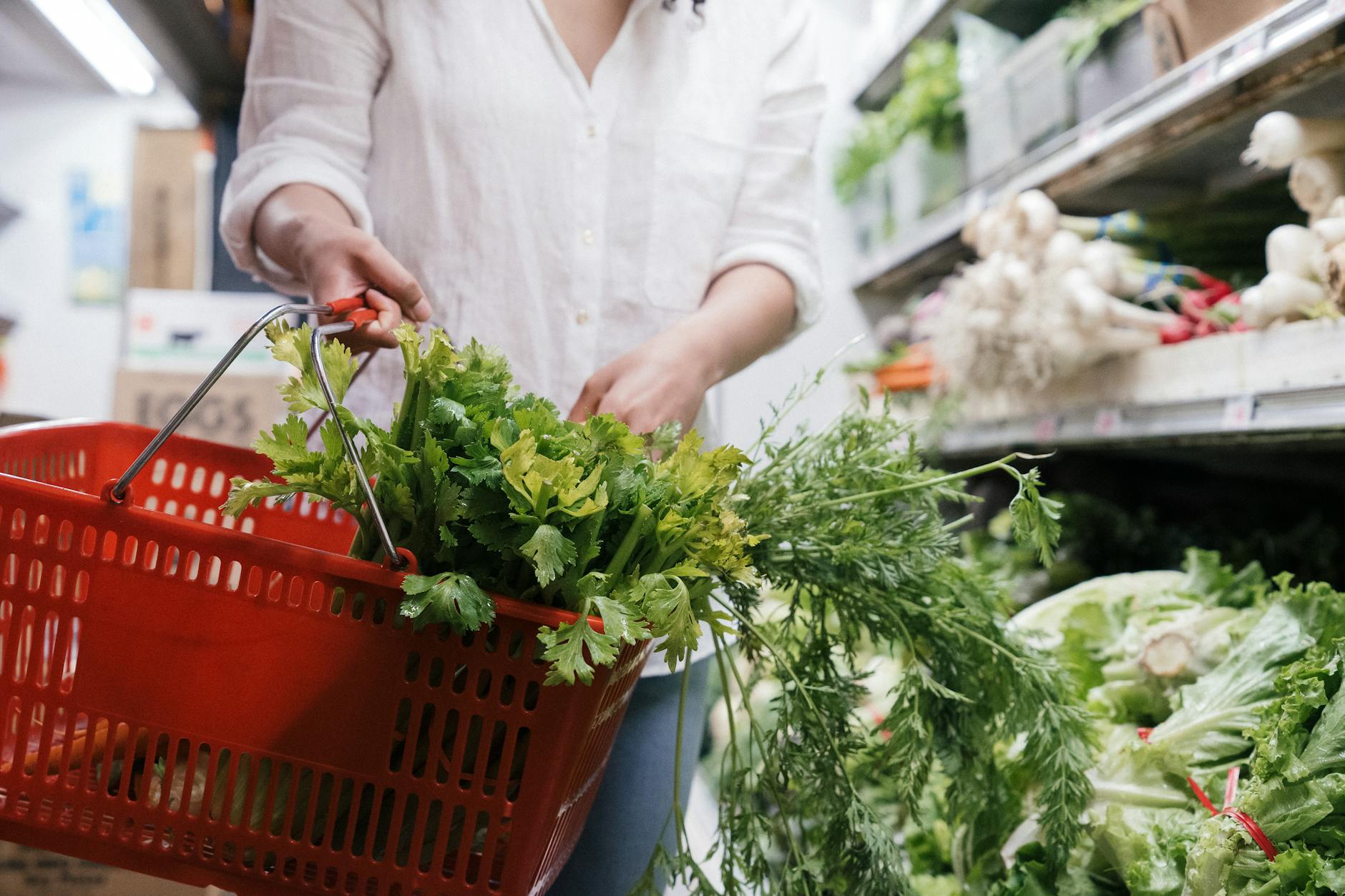 How to Store Cilantro So It Stays Fresh for Weeks