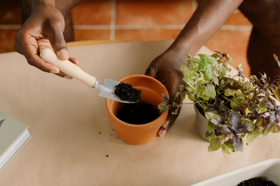 Can I Compost in an Apartment? (Yes — Here's How)