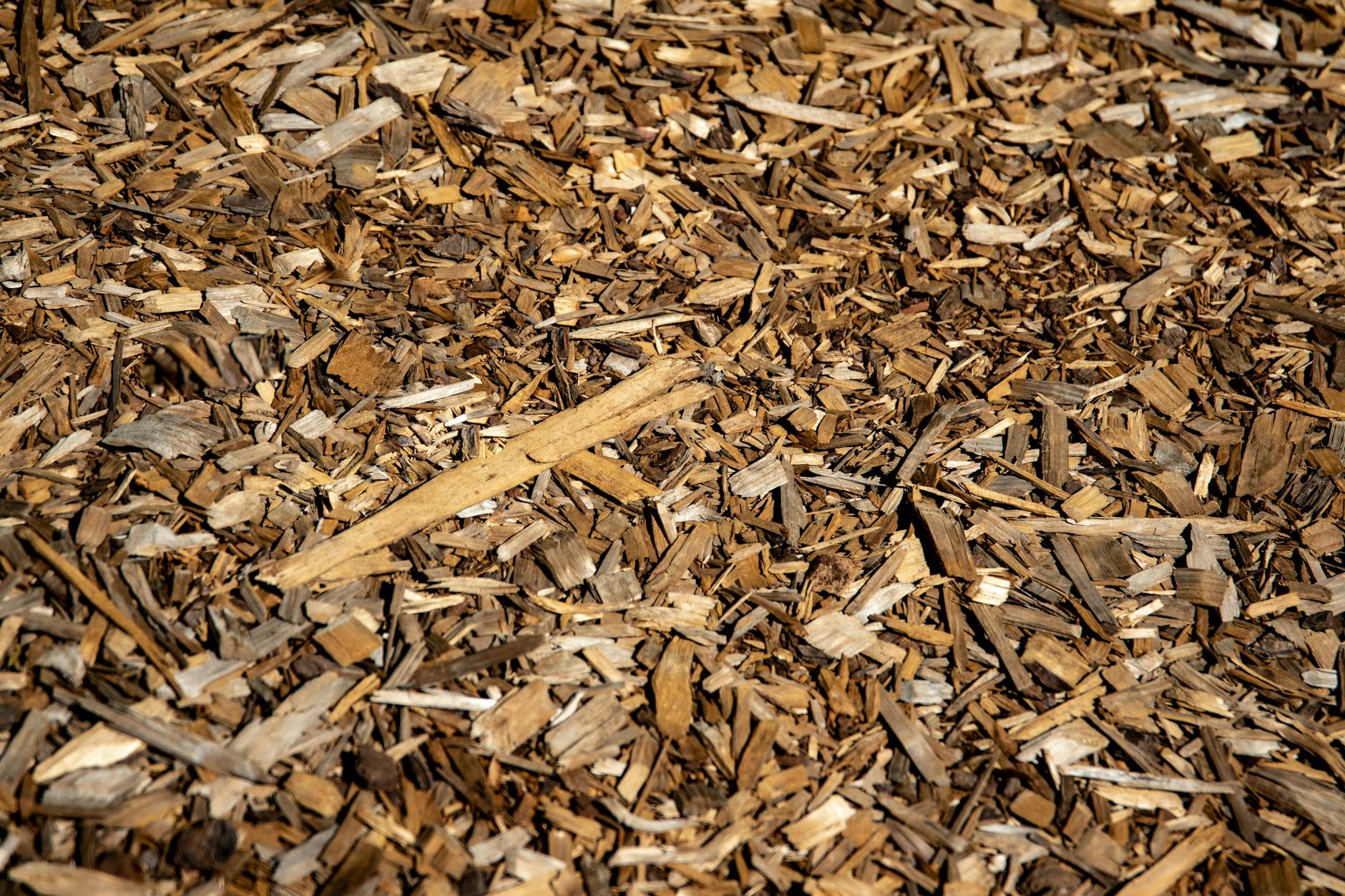 What Is Mulching, How Do I Do It, and How Does It Relate to Compost?