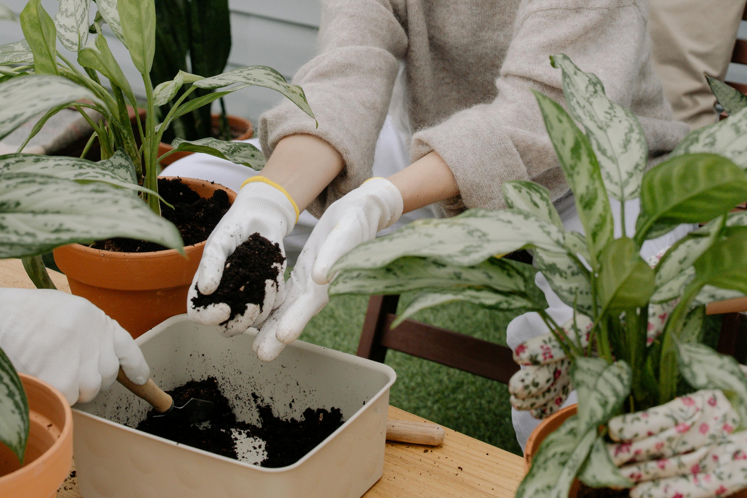 What Should You Never Put in a Compost Bin? A Complete List of What to Avoid