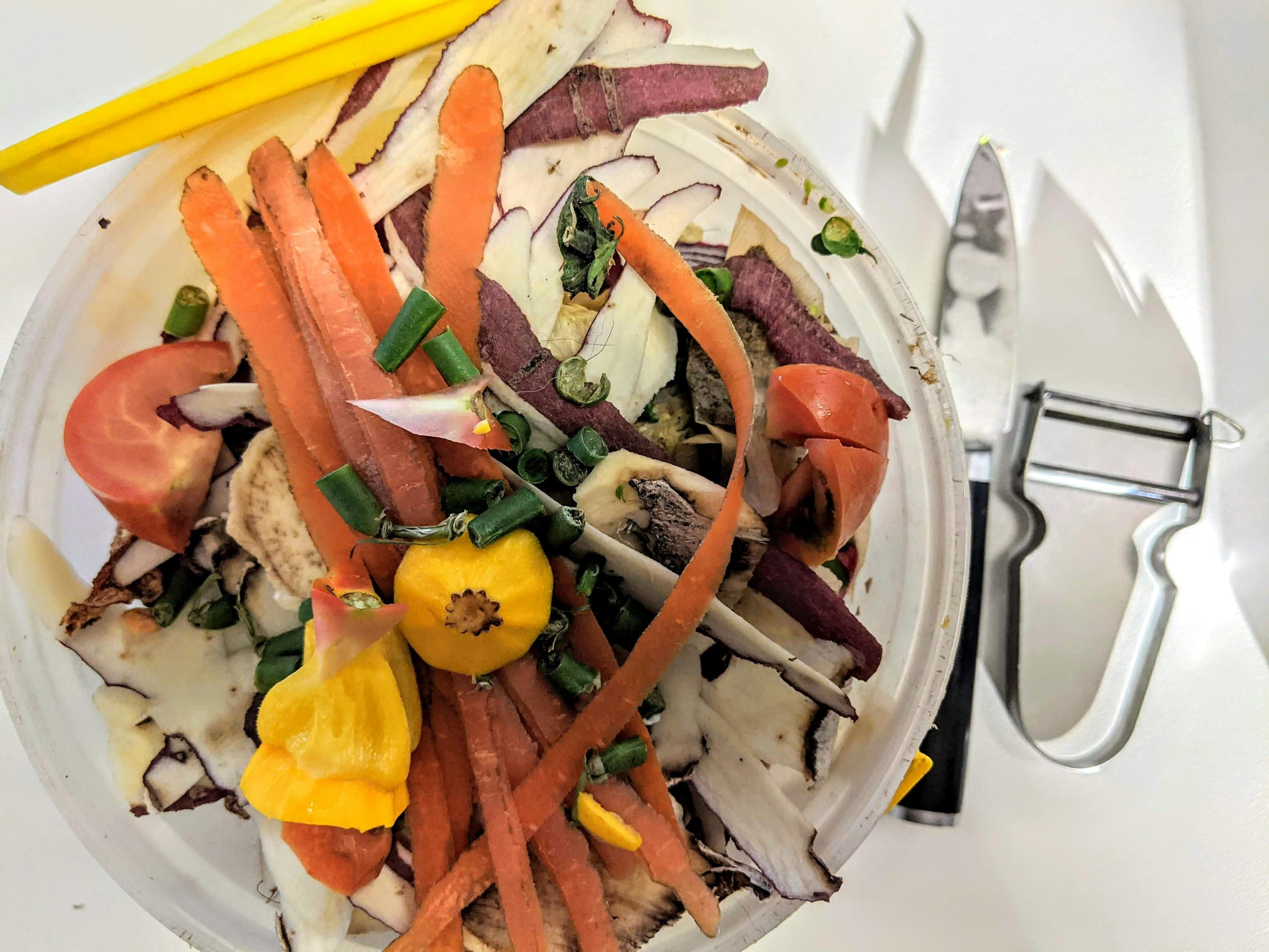 The Complete Guide for Indoor Composting